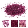 NOLITOY 1 Glass Chip Glass Nail Flakes Glitter Nail Art
