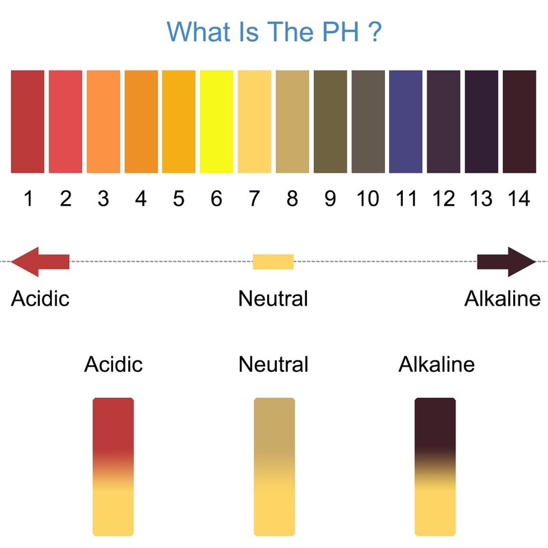 DKARDU 800 Strips pH 1-14 Test Paper Litmus Paper Extensive
