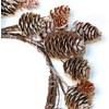 4.25" Inner Diameter Pine Cone Pillar Candle Ring, Set of