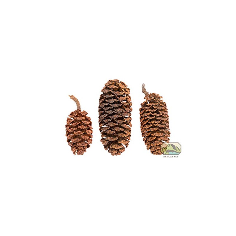 NewCal Alder Cones - 1oz