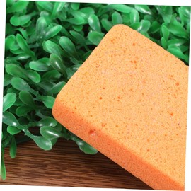 Healeved 4pcs Pumice Stone Exfoliator Dead Scrubber Remove Real Pumice Rock Cuticle Foot Stone Pumice Exfoliating Handle Pedicure Pumice Grinding Foot Tool Rubbing Stone