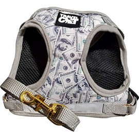 Travel Cat: The Cash Cat Money Pattern Reflective Cat & Kitten Harness & Leash Set for Walking - Lightweight, Breathable, Snug Fit - Strong Leash with Sturdy Snap Clip - Limited Edition