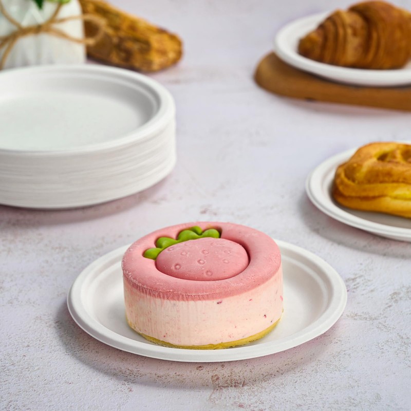 Vplus 350 Pack Paper Plates 7 inch 100% Compostable Plates