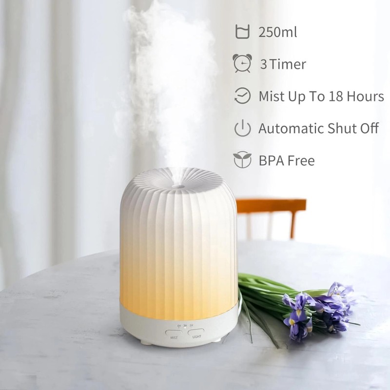 250ML Essential Oil Diffuser for Bedroom Quiet for Home w/