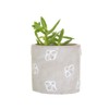 Sass & Belle Mini Queen Bee Cement Planter