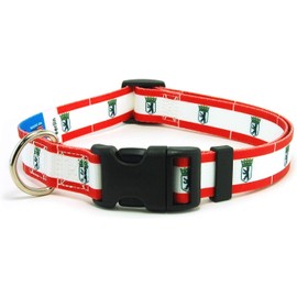 Berlin Dog Collar | Berlin Flag | Martingale Slip-On | Made in NJ, USA | for Medium Dogs | 3/4 inch Wide
