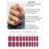 Semi Cured Gel Nail Strips, 20pcs Plum Cat Eye Gel