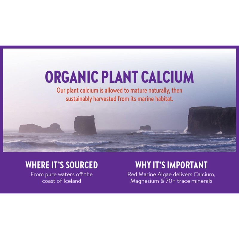 New Chapter Bone Strength Take Care, 180 Slim Tablets