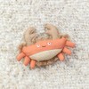 Fringe Studio "Very CRABTIVATING Earth Friendly Kicker Cat Toys, PetShop