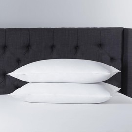 FZZOR Soft Flat Comfy Pillows Queen Size Set of 2,Premium Soft Support Bed Pillows for Sleeping,Down Alternative Breathable Pillows for Side Back or Stomach Sleepers（20x30in ）