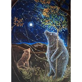 The Great Bear II by Hannah Willow - UK made Art Greetings Card - Bear and Wolf stargazing - Animals - Birthday Card