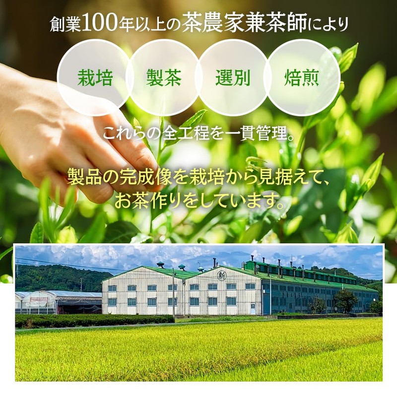 Mizutama Farm Decaffeinated Fall/Winter Bancha Tea Bags, 0.1 oz (4