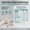 Creatina Monohidratada Micronizada Polvo 100 Alta Pureza Certificada Sabor Disuelve