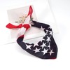 Red White and Blue American Flag Bandana Headband USA for