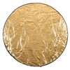 5 in 1 Photography Light Reflector Collapsible Lighting Round Reflector