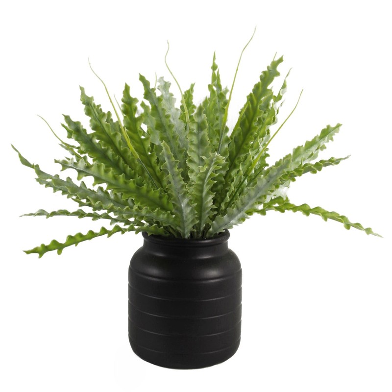 Leaf Ceramic Indoor Cachepot Planters, 14cm Black