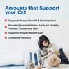 Nutri-Vet Milk Replacer For Kittens, Powdered Milk, Kitten Essentials, Cat