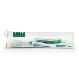 dentis travel set