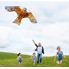 HENGDA KITE Bird Hawk Flying Kite with Pole Crops Farm