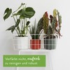 elho B.for Soft Round - Flower Pot for Indoor Use