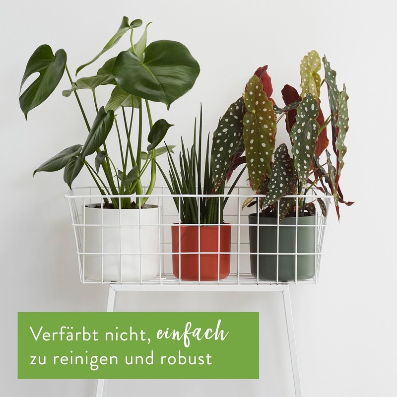 elho B.for Soft Round - Flower Pot for Indoor Use
