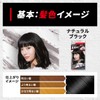 Hoyu Beauty Tone Down Color (Natural Black) 1 agent 32g