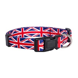 Native Pup Union Jack Dog Collar- UK Flag Dog Collar (Small)