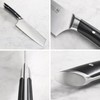 Cangshan HELENA Series 7-Inch Nakiri Knife, Forged German Steel, 502520