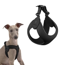 BuddyArmor Ultra Comfortable Dog Harness Adjustable Soft Dog Vest, Alloy Buckle Closure Lightweight Stretchy Puppy Harness Step in for Small Dogs Walking Training (Midnight Black, 4XS)