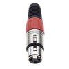 Keple 3 Pin XLR Female Red - Female Audio Microphone