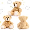 Tezituor Bulk Teddy Bear Baby Shower, 10 Packs Small Teddy