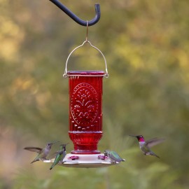 More Birds Red Vintage Hummingbird Feeder, Antique Glass Hummingbird Feeders ...