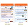 NewPath Learning Usage: Sentences & Grammar Rules Bulletin Board Charts,