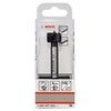 Bosch Professional 1 pc. tungsten carbide hinge cutting bit (Ø
