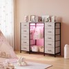 LUMTOK 55W 2-in-1 Dresser with Hanging Rack, 10 Drawers Dresser