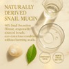 Neatique SE96 Snail 96% Mucin Power Essence, 4 fl oz