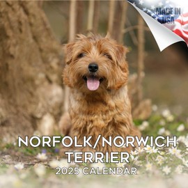 2024 2025 Norfolk/Norwich Calendar - Dog Breed Monthly Wall Calendar - 12 x 24 Open - Thick No-Bleed Paper - Giftable - Academic Teacher's Planner Calendar Organizing & Planning - Made in USA