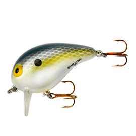 Bomber Lures Shallow A Finesse Wake-Bait Fishing Lure, Fishing Gear and Accessories, 2", 3/8 oz, Foxy Shad