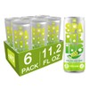 ALO Sparkling White Grape Carbonated Aloe Vera Juice Drink |