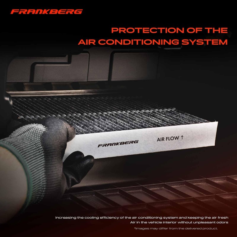 Frankberg 2x Cabin Air Filters with Particulate Filters Compatible with