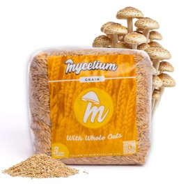 Mycelium 3 lb Whole Oats Grain Spawn for Mushroom Cultivation | Sterilized Nutrient-Rich Bag with Self-Healing Injection Port – Ideal for Rapid Mycelium Colonization | Ready to Inoculate | Made in USA