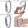 Carabiner 12KN Auto-lock BRAVESHINE Load Capacity 1,200 kg Locking Carabiner