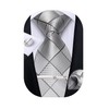 DiBanGu Silk Necktie Wedding Pocket Square Tie Pin Cufflinks Set