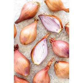 Generic Fresh Shallots, USA Grown, Non-GMO, Allium schoenoprasum (Sweet Onion), Bulk (10 Pounds)
