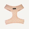 Dan & Sam Daisy Picnic Dog Harness - Medium, Comfortable