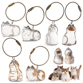 KutaKuta 6 Stück Katzenhaar SchlüSselanhäNger, Transparente Acryl Cat Hair Storage Box Pendants, Einzigartiger Cat Hair Memorial Capsules SchlüSselbund zum Sammeln von Katzen Hundehaaren, Geschenk