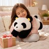 Giant Panda Plush Toy 60cm-80cm Soft Stuffed Animal Pillow, Cute