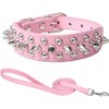 Dog Collar Set with Studs, Rivets, Studded, Puppy Collars, Spiked