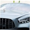 Mikinona Hood Ornament for Trucks Car Hood Decoration for All