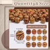 VENOFEN 60PCS Painted Wood Hair Beads Large Hole Natural Wooden